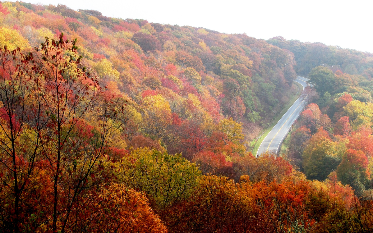 What Is Missouri Land Worth in 2026? A Look at Values Across the State